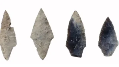 Letonya’nın kuzeyindeki Zvejnieki mezarlığında yapılan analiz, taş aletlerin yalnızca erkeklerle