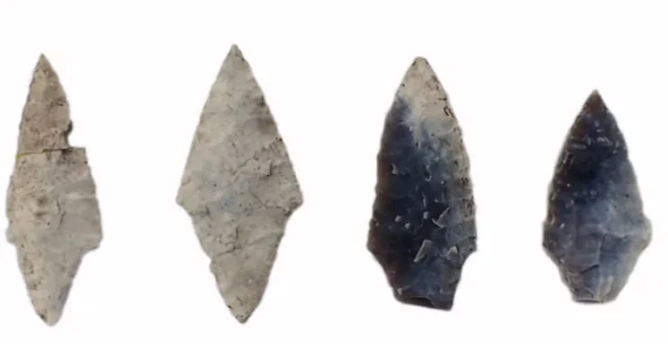 5 bin yıllık Taş Devri mezarı ‘avcı erkek’ klişesini çürüttü Letonya’nın kuzeyindeki Zvejnieki mezarlığında yapılan analiz, taş aletlerin yalnızca erkeklerle