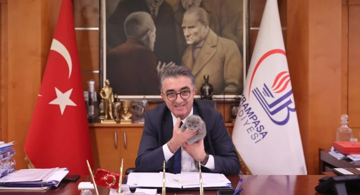 Hasan Mutlu