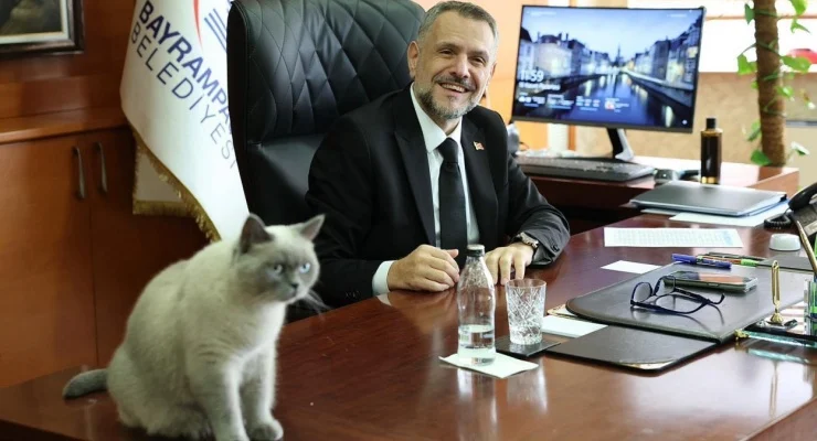 CHP’li Bayrampaşa Belediye Başkanı Hasan Mutlu’nun tutuklanması ve belediyede AKP’li