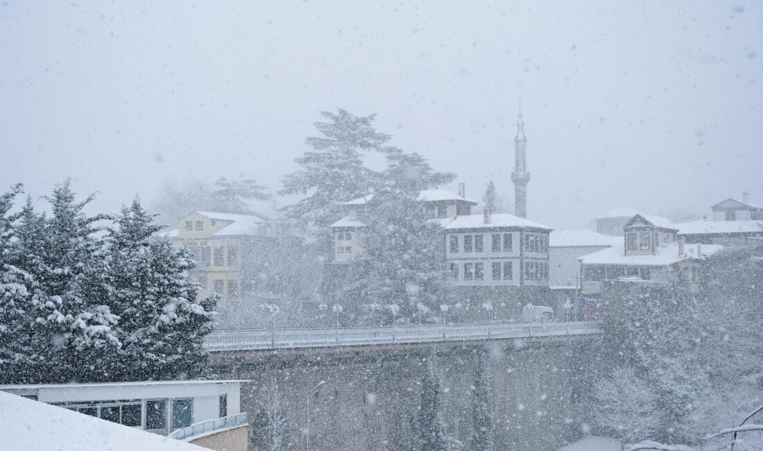 Doğu Anadolu Bölgesi'ni etkisi altına alan şiddetli soğuklar hayatı durma