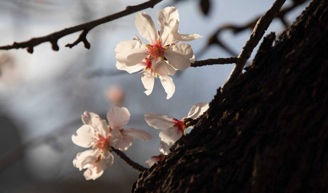 Halk takvimine göre baharın gelişini simgeleyen ve sırasıyla havayı, suyu